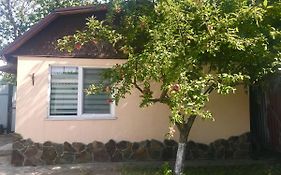 Apartments With Kitchen And Garden